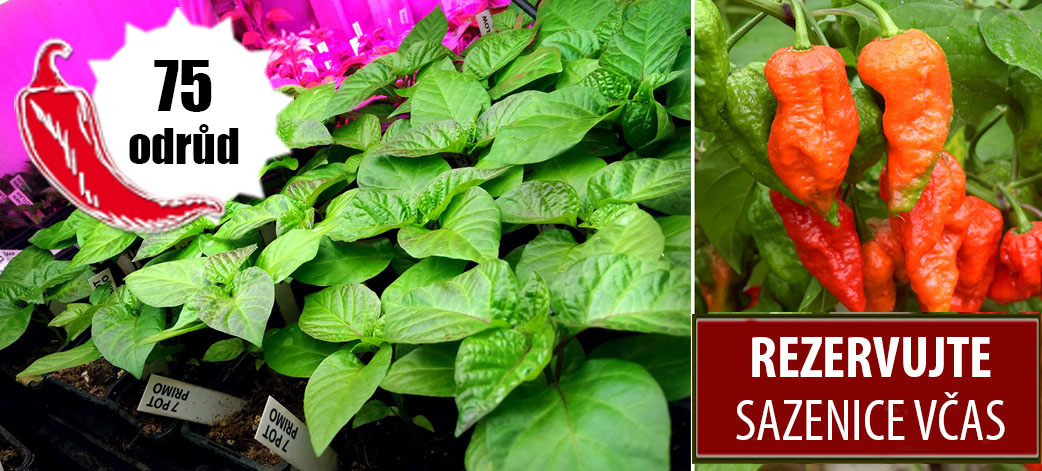 banner sazenice - REZERVACE